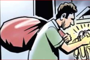 नोएडा में चोरों का आतंक: घरों से जेवरात-नकदी और फार्म हाउस से घोड़ा चोरी