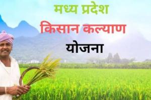 मुख्यमंत्री किसान कल्याण योजना की 14वीं किस्त कब आएगी, एमपी किसानों को फिर मिलेगी राहत, खाते में आएंगे दो हजार रुपये