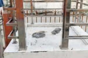 मंदिर में तोड़फोड़: शिवलिंग खंडित कर माहौल बिगाड़ने की कोशिश.. पुलिस ने दर्ज किया केस, भारी बल तैनात