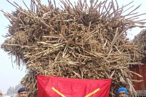 शामली: राष्ट्रीय सड़क सुरक्षा माह के तहत यातायात पुलिस ने चलाया विशेष अभियान