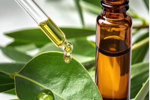 सर्दियों में चेहरे के रूखेपन, मुहांसों और इंफेक्शन से बचाए टी-ट्री ऑयल, जानें फायदे