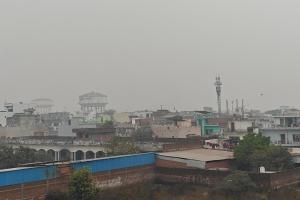 मुरादाबाद में 'कोल्ड डे' का कहर: लगातार 5वें दिन नहीं निकली धूप; घने कोहरे और बर्फीली हवाओं से ठिठुरा पीतल नगरी