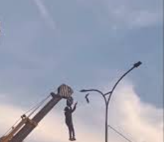 इंसानियत आज भी ज़िंदा है: पंजाब में क्रेन से लटककर युवक ने बचाई परिंदे की जान