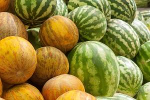 गर्मी की खेती में बड़ा मौका तरबूज और खरबूज की खेती पर 75 प्रतिशत अनुदान से बढ़ेगी आमदनी