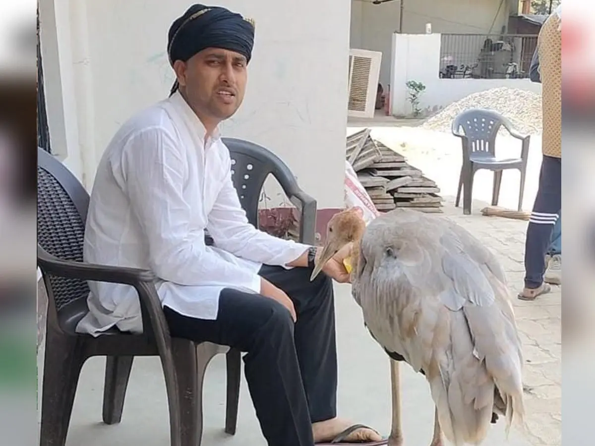 आरिफ के बाद अब अफरोज पर सारस रखने का मामला दर्ज After Arif, now Afroz has been booked for keeping a stork
